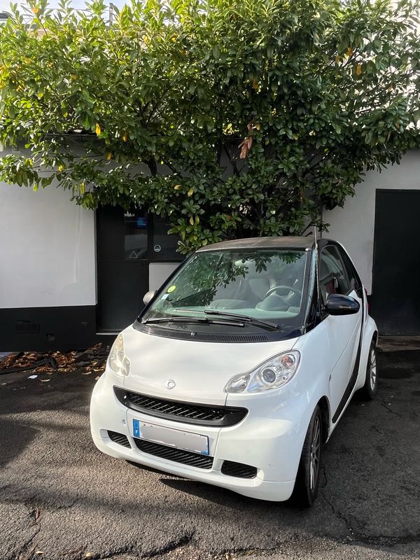SMART W451 2007