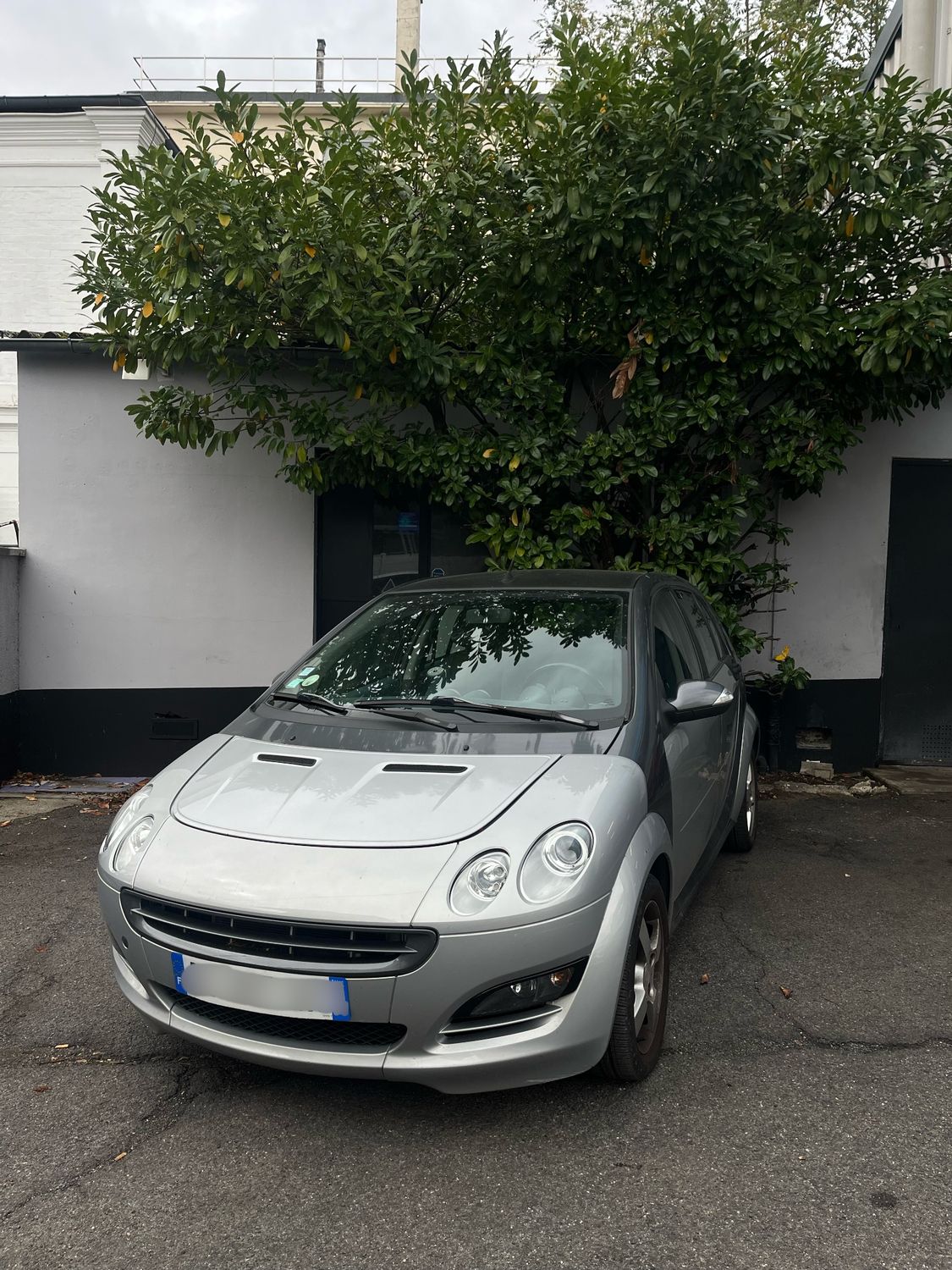 SMART Forfour 1.3L Passion SMART Forfour 1.3L Passion