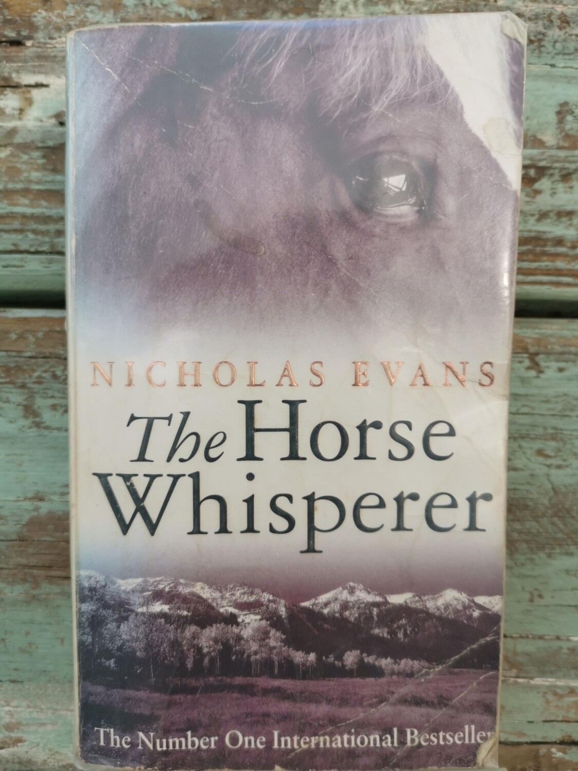 The horse whisperer, Nicholas Evans