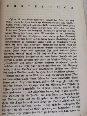Soll und haben, Gustav Freytag