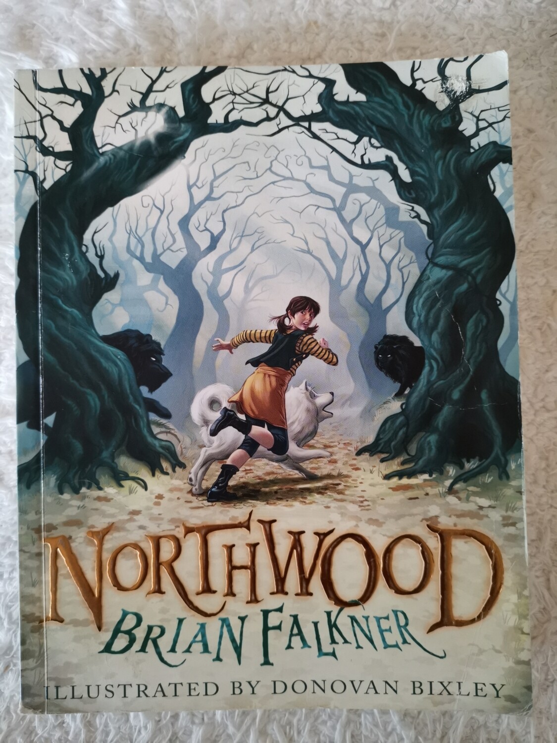 Northwood, Brian Falkner