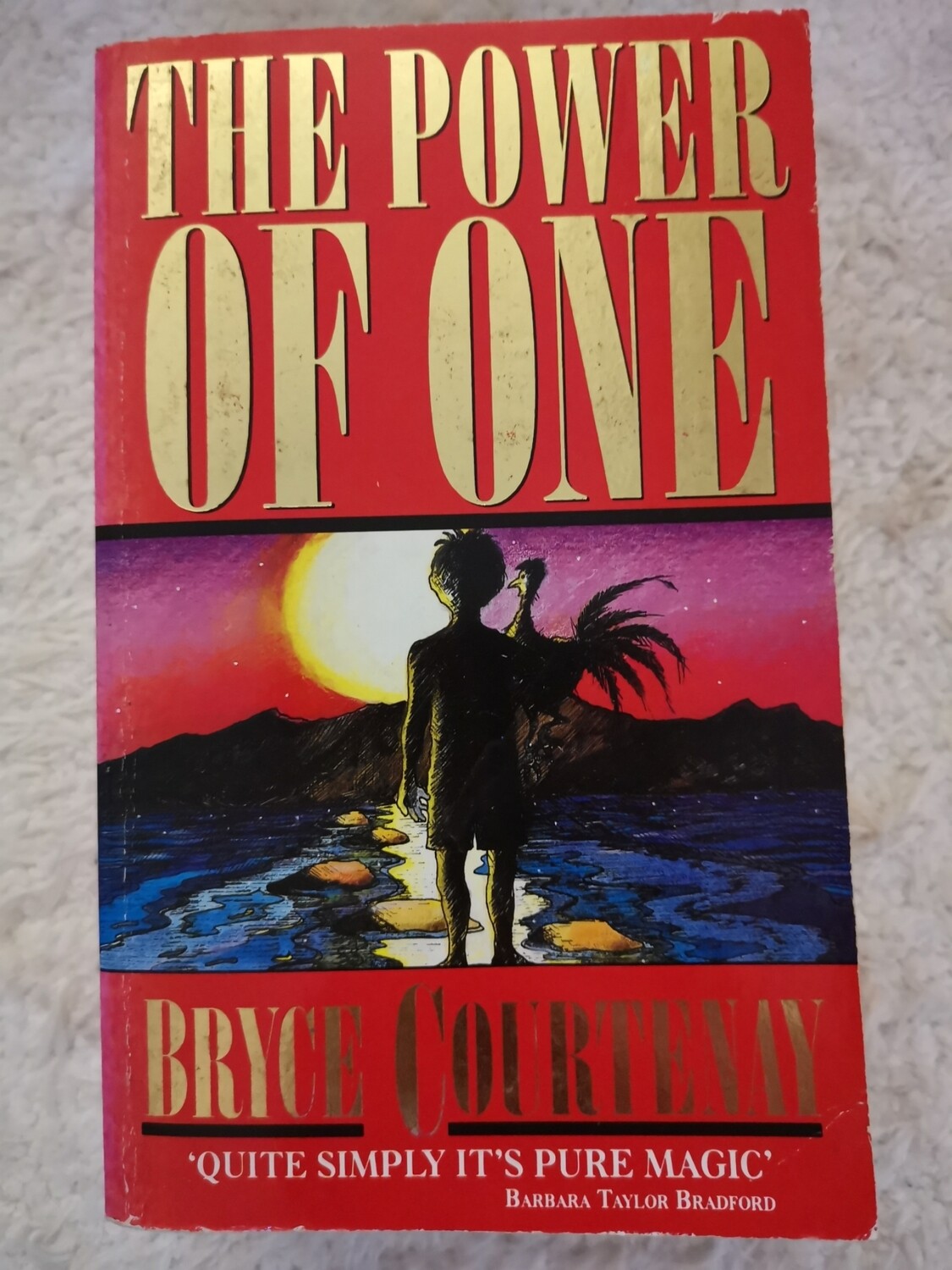 The power of one, Bryce Courenay