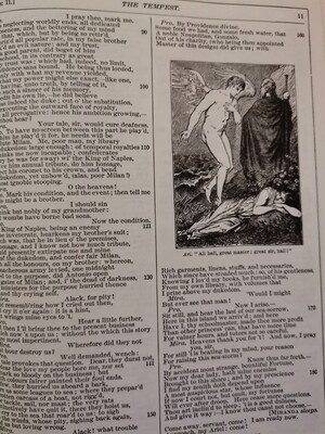 The illustrated Stratford Shakespeare