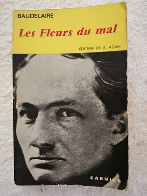 Les Fleurs du Mal, Baudelaire