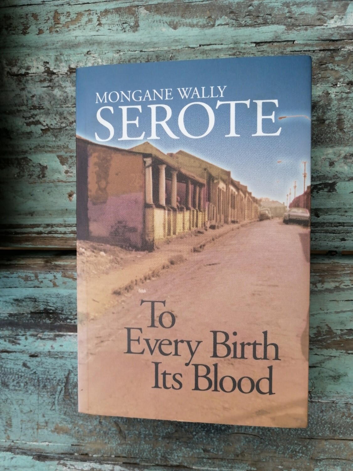 To Every Birth Its Blood, Mongane Wally Serote