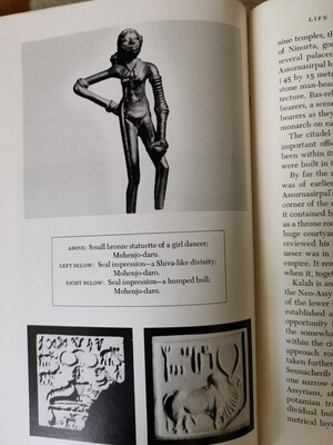The first great civilizations, Jacquetta Hawkes