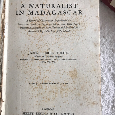A Naturalist In Madagascar, James Sibree F.R.G.S.
