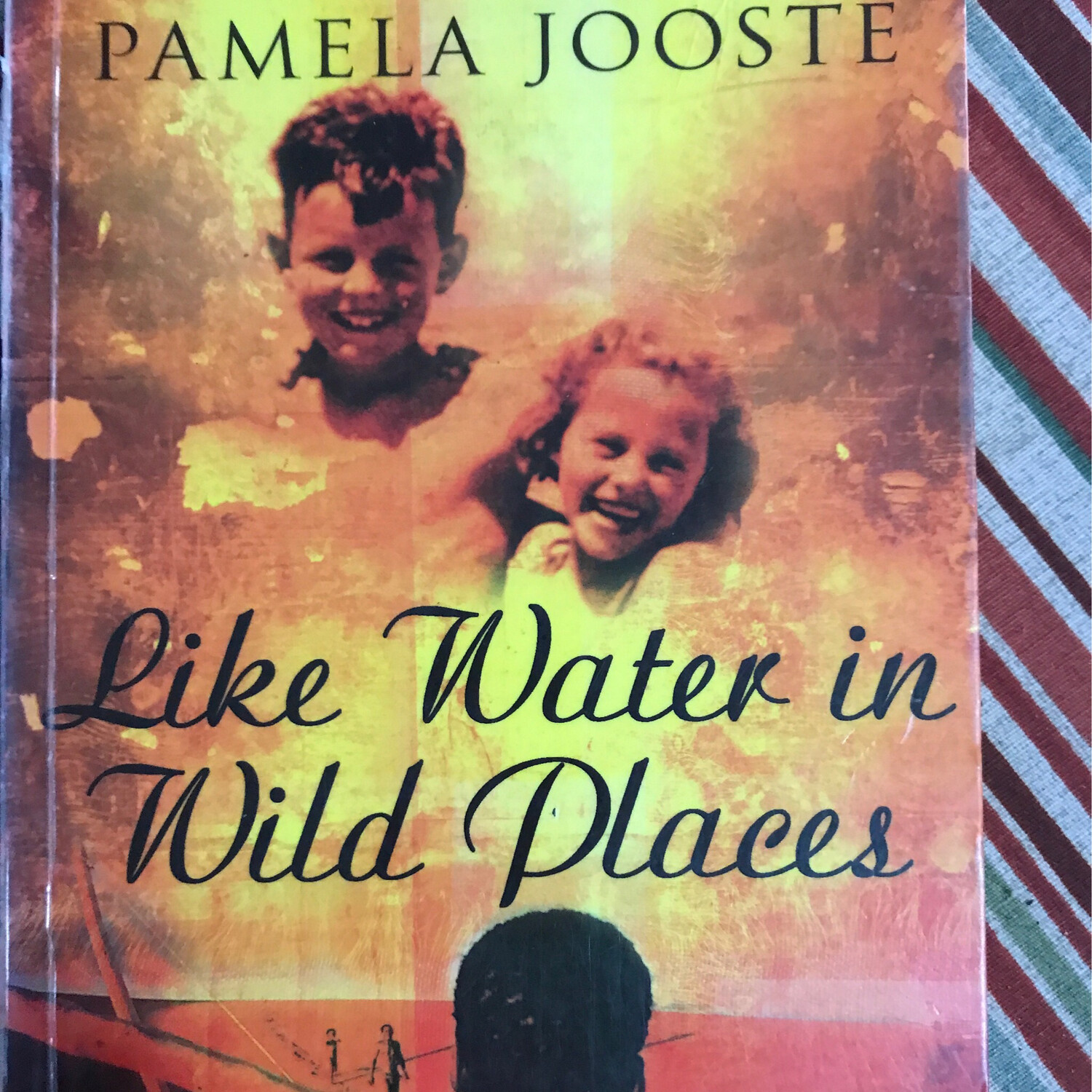 Like Water In Wild Places, Pamela Jooste
