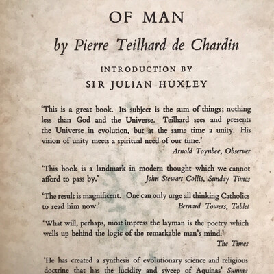 The Appearance Of Man, Teilharde de Chardin
