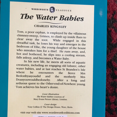 The Water Babies, Charles Kingsley