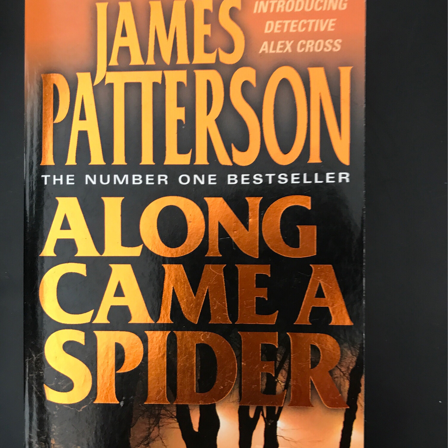 Along Came A Spider, James Patterson