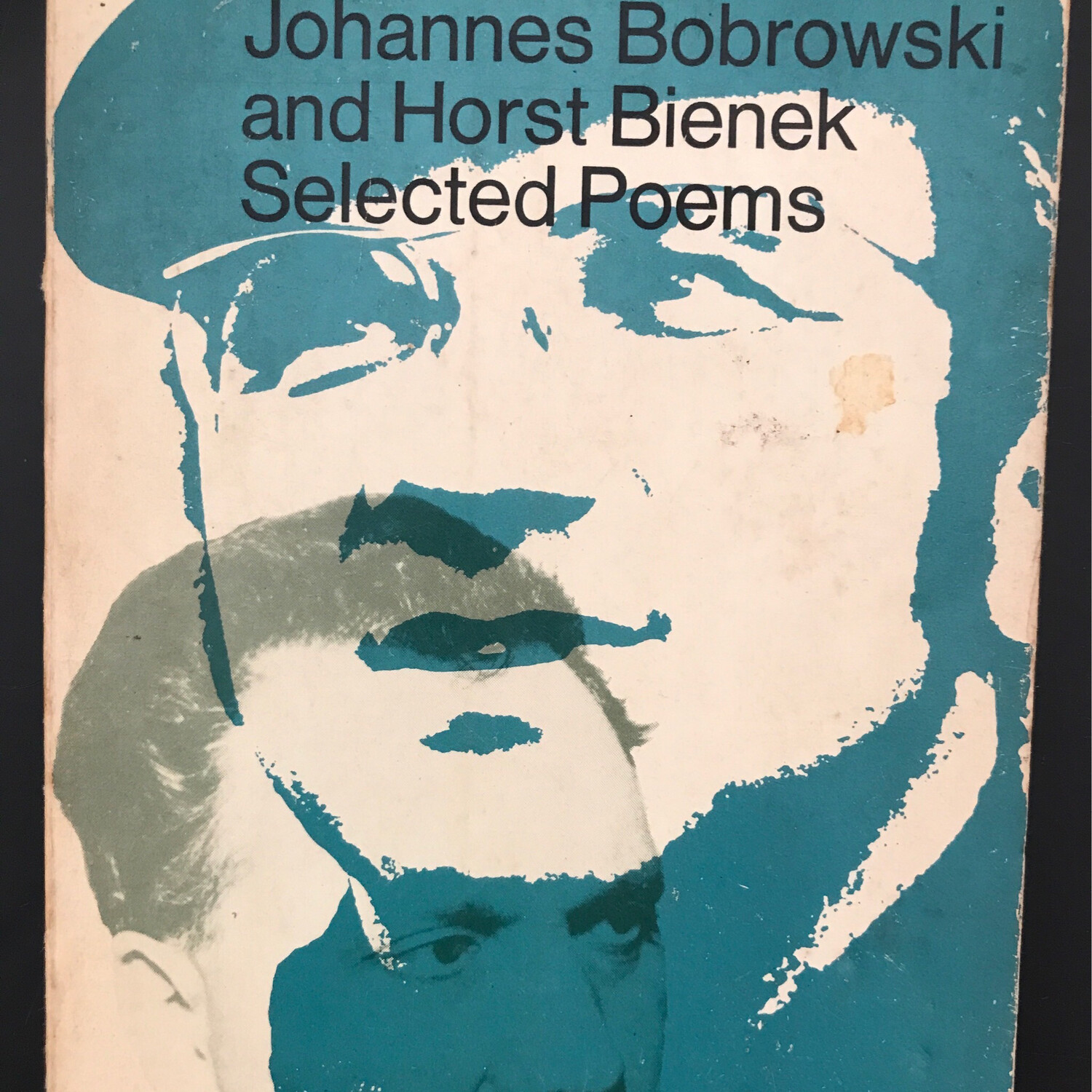 Selected Poems, Johannes Bobrowski And Horst Bienek