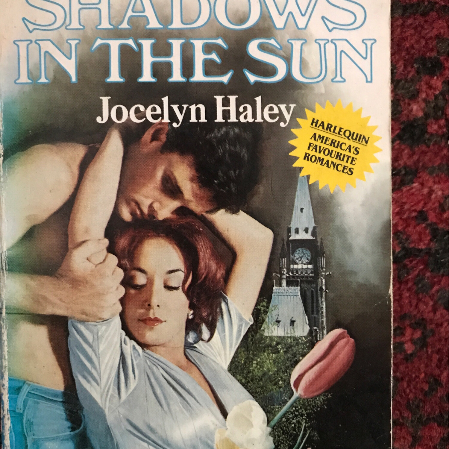 Shadows In The Sun, Jocelyn Haley