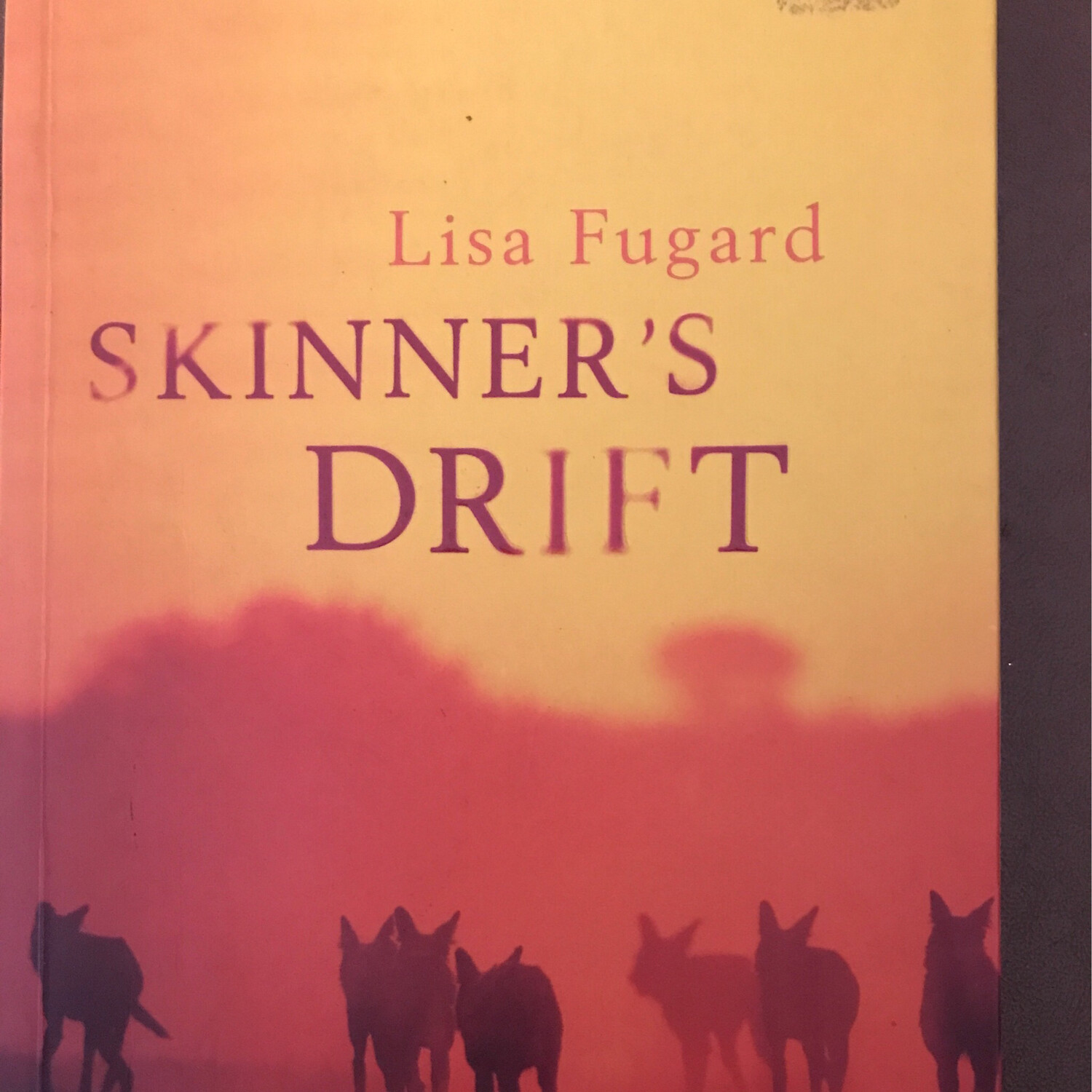 Skinner’s Drift, Lisa Fugard