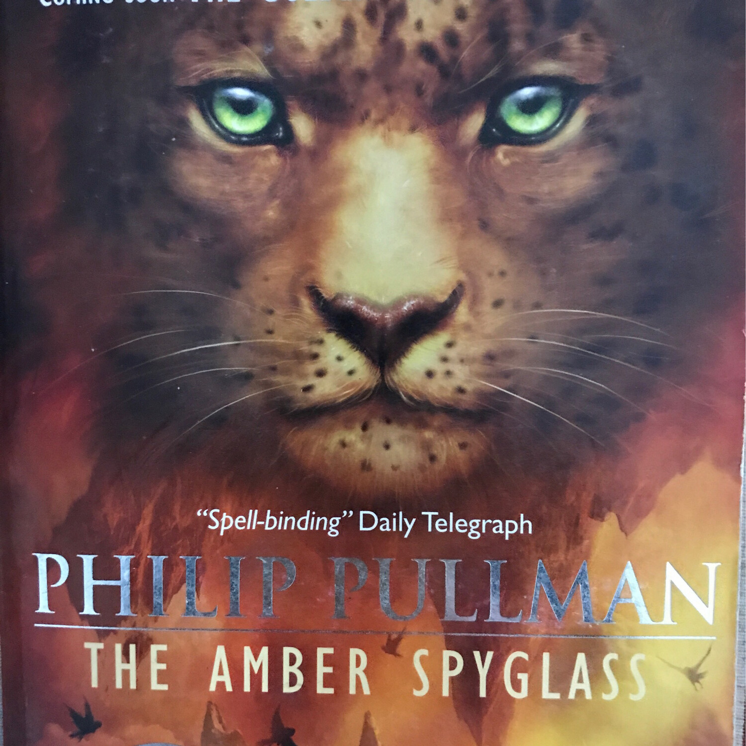 The Amber Spyglass, Philip Pullman