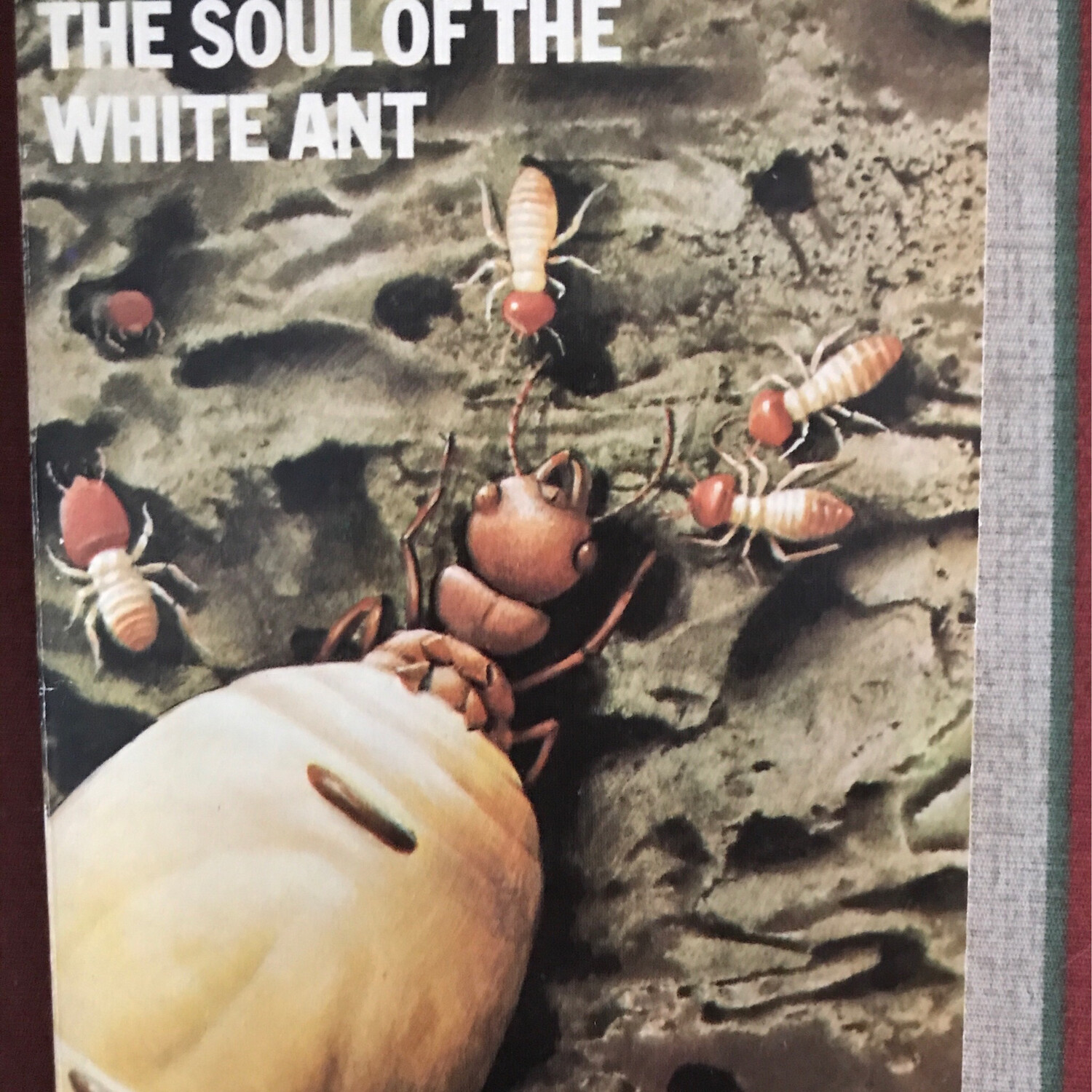 The Soul Of The White Ant, Eugene Marais