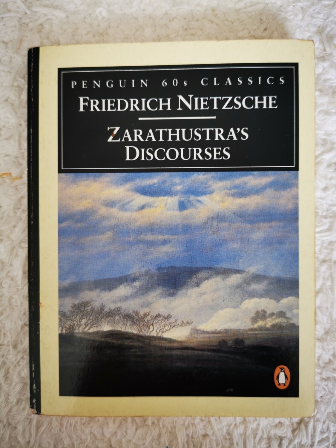 Zarathustra's discourses, Friedrich Nietzsche