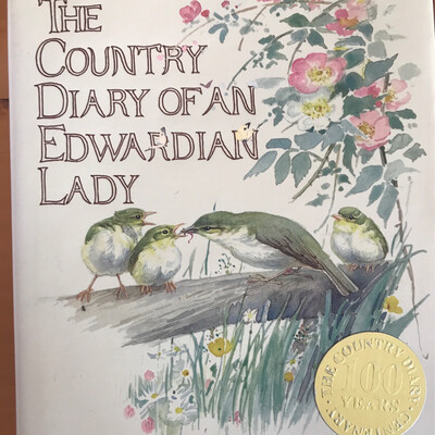 The Country Diary Of An Edwardian Lady, Edith Holden