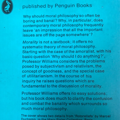 Morality, Bernard Williams