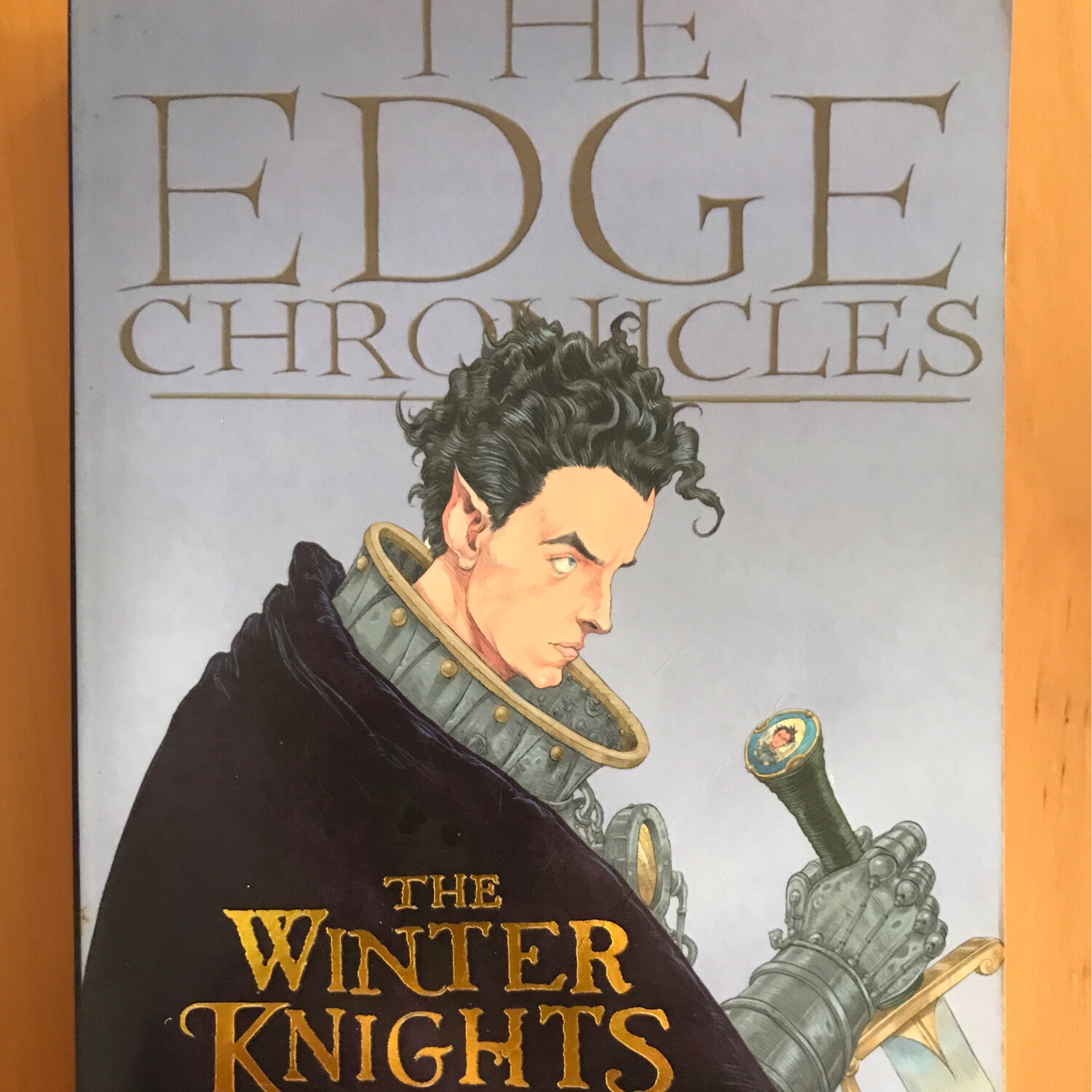 The Winter Knights, Paul Stewart And Chris Riddell