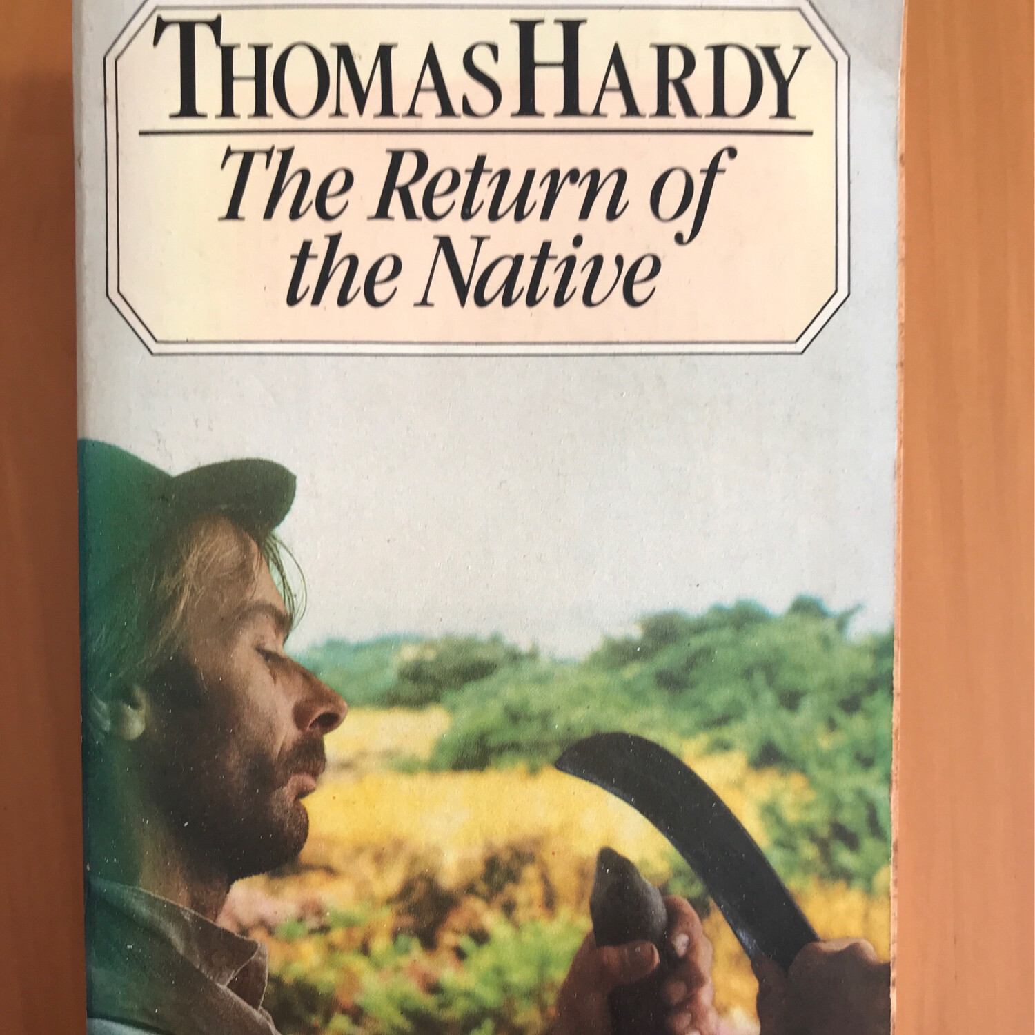 The Return Of The Native, Thomas Hardy