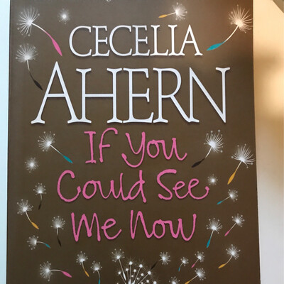 If You Could See Me Now, Cecelia Ahern