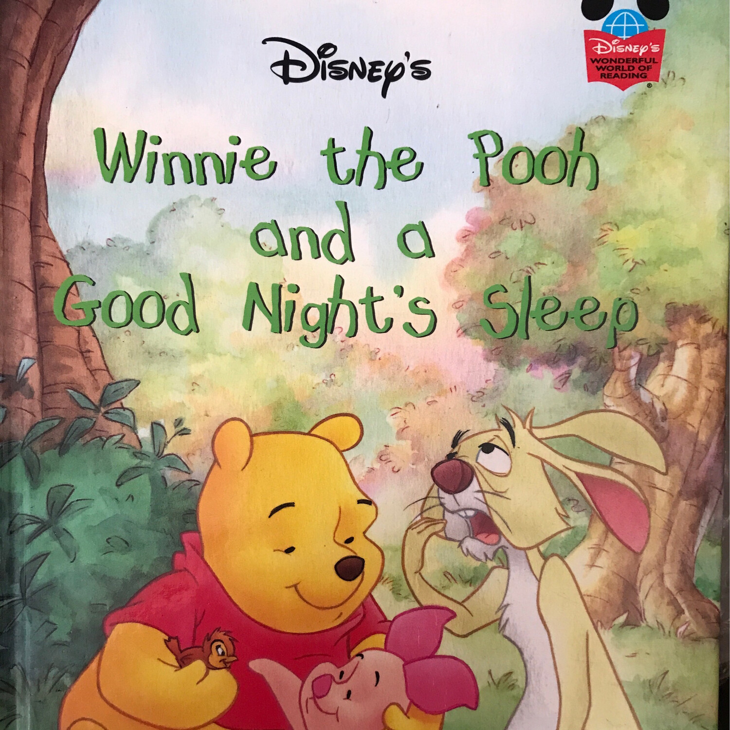 Winnie The Pooh And A Good Nights Sleep, Disney