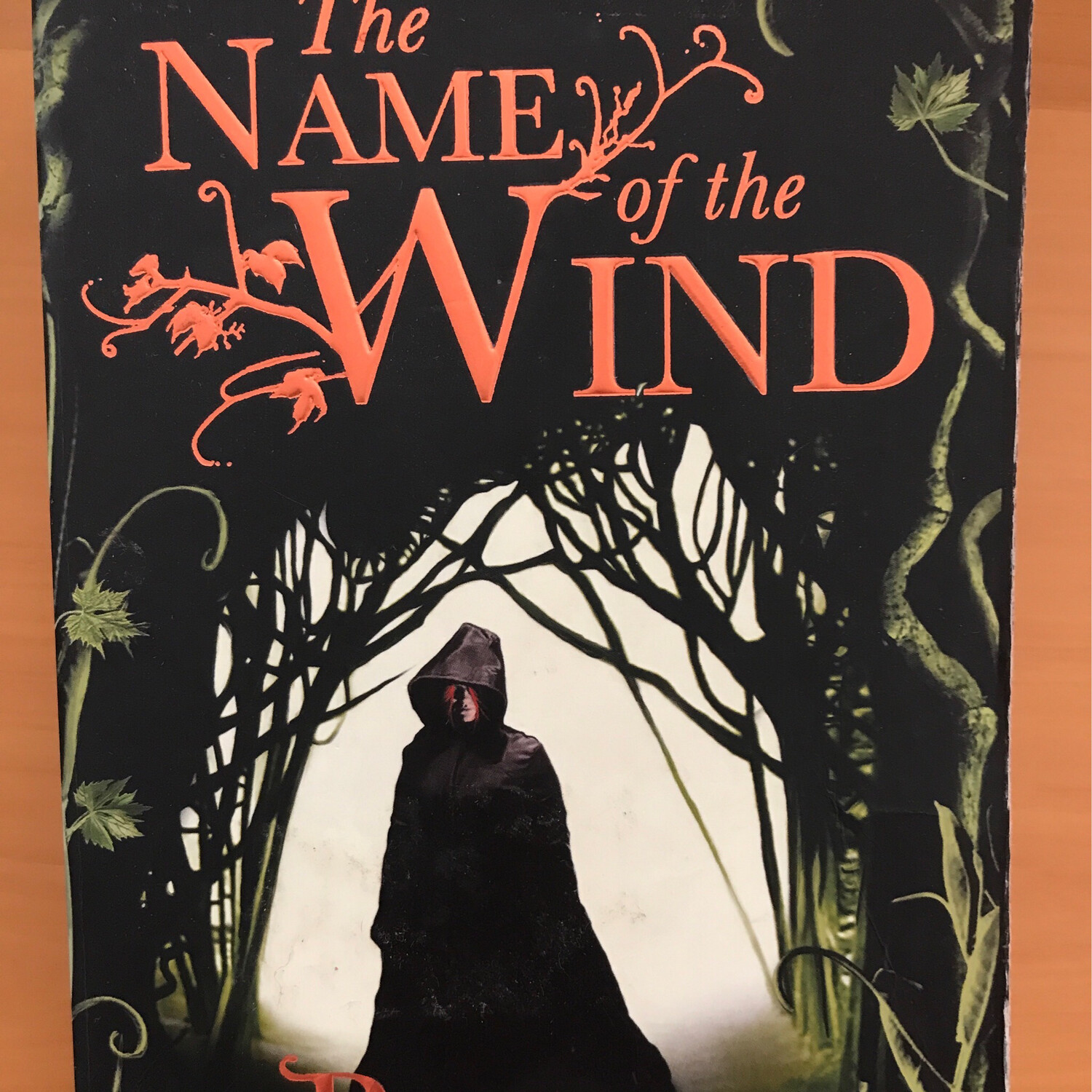 The Name Of The Wind, Patrick Rothfuss