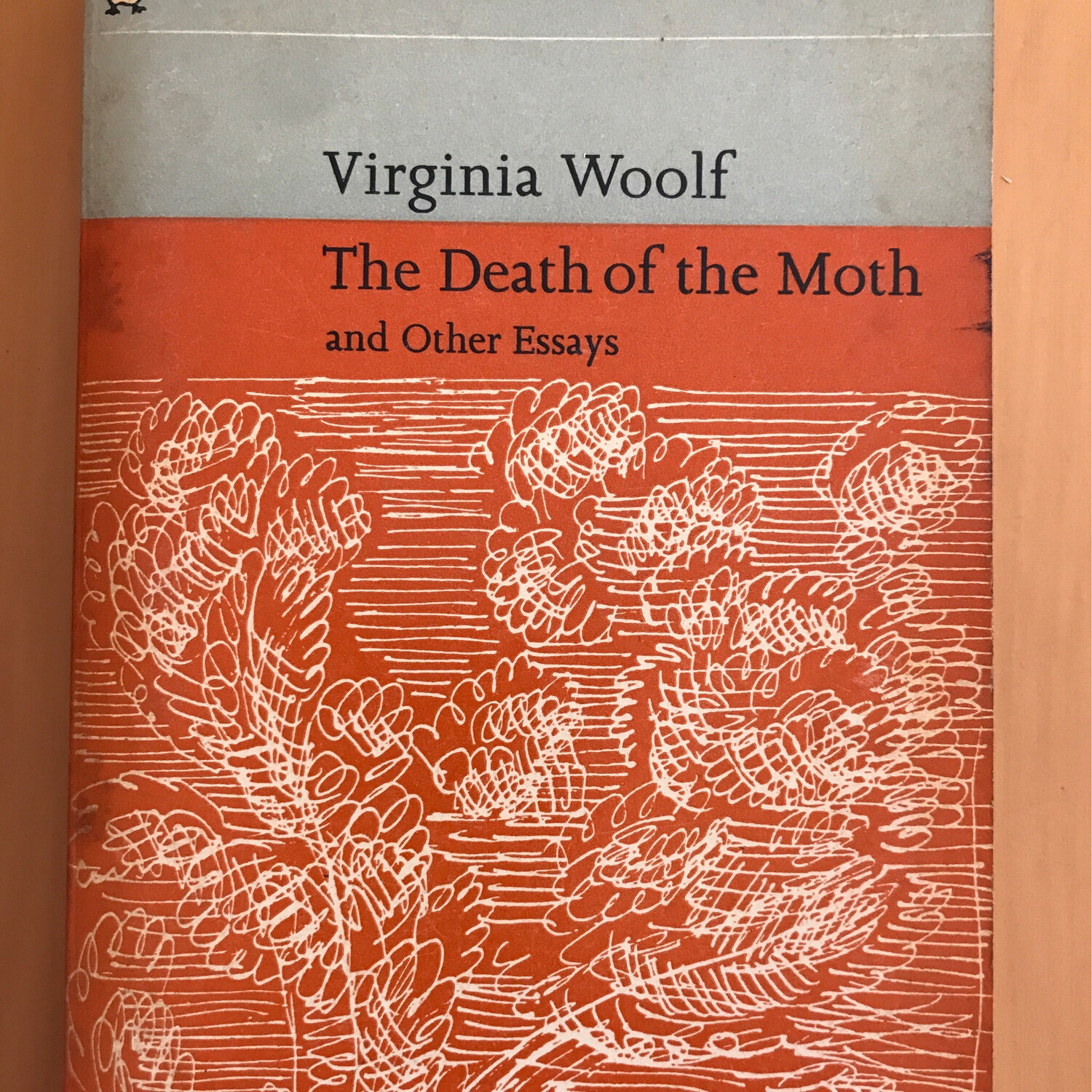 The Death Of The Moth And Other Essays