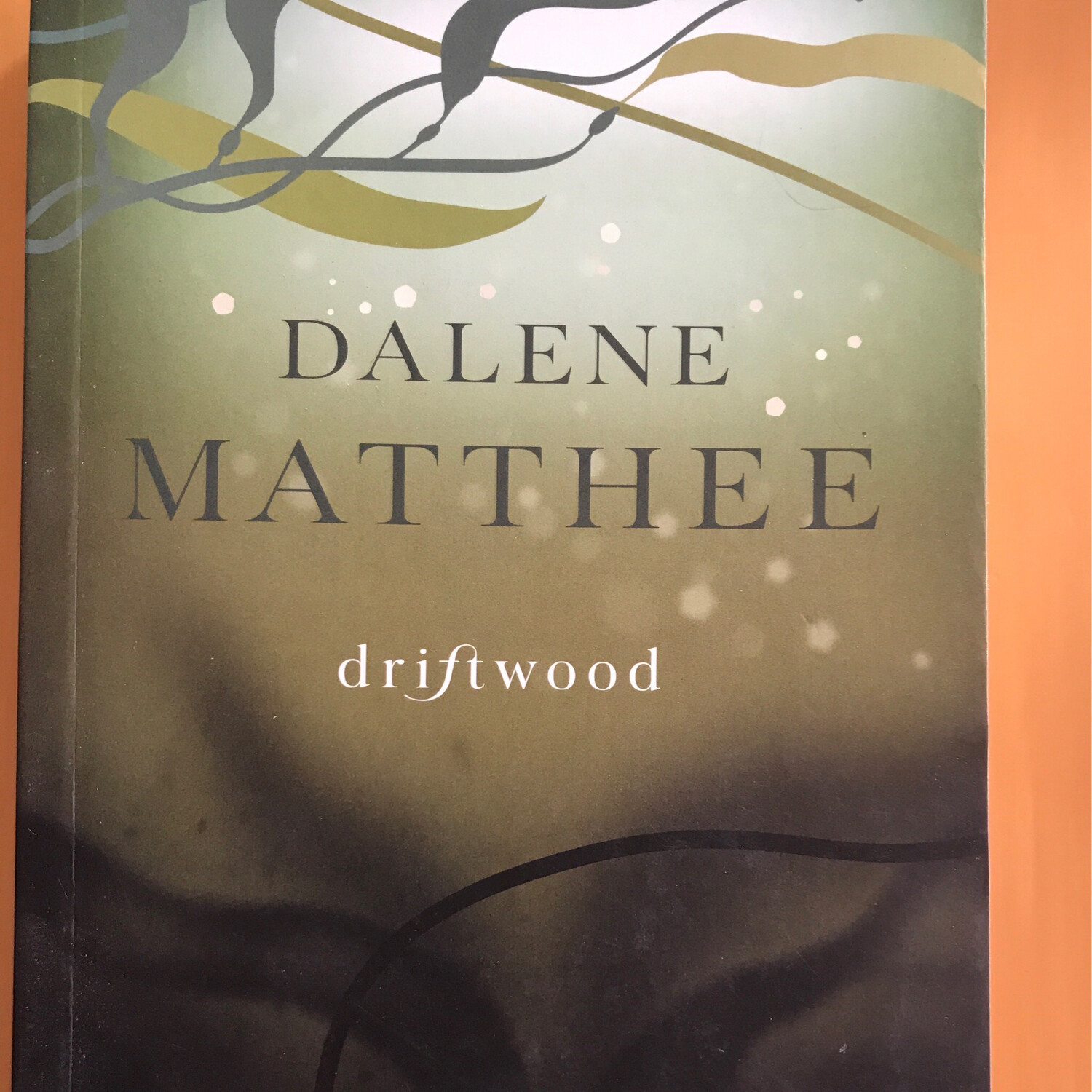 Driftwood, Dalene Matthee