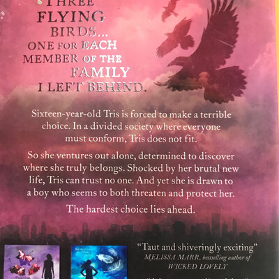 Divergent, Veronica Roth