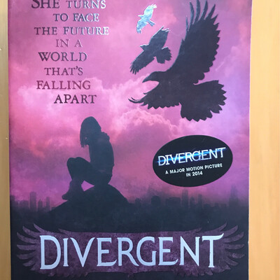 Divergent, Veronica Roth