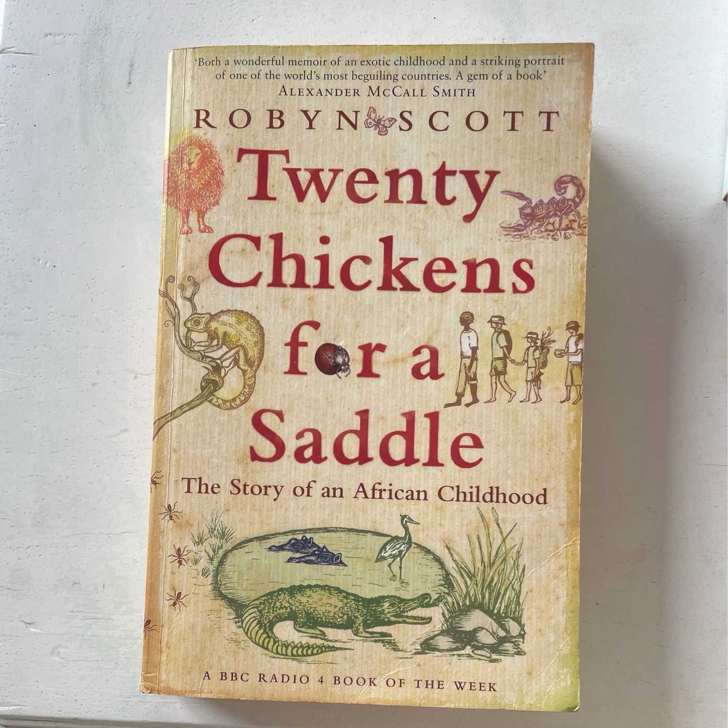 Twenty Chickens For A Saddle, Robyn Scott