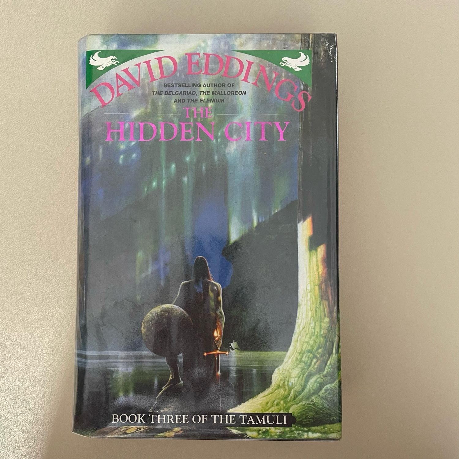 The Hidden City by David Eddings
