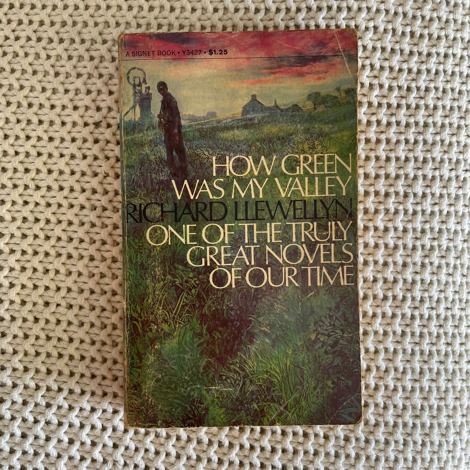 How Green Was My Valley – Richard Llewellyn