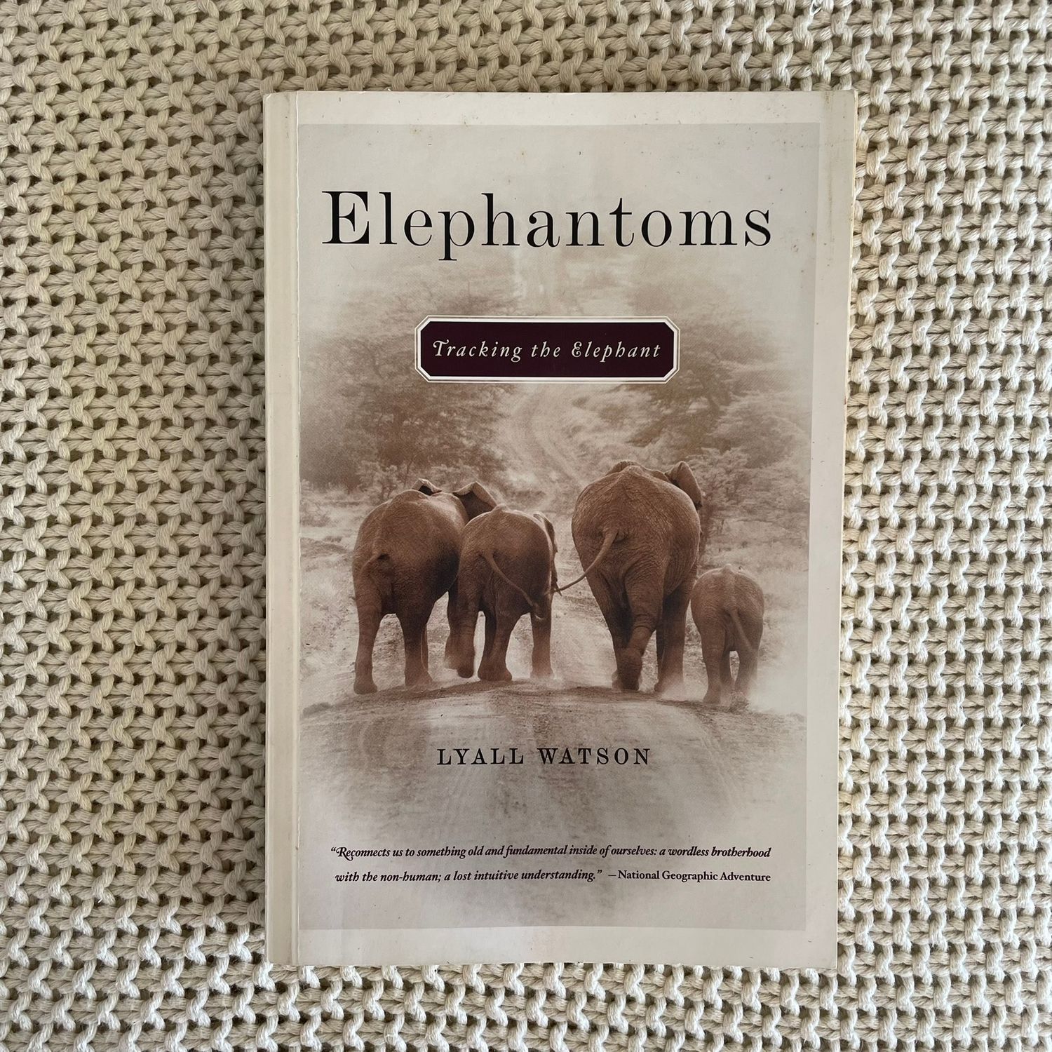 Elephantoms: Tracking the Elephant – Lyall Watson