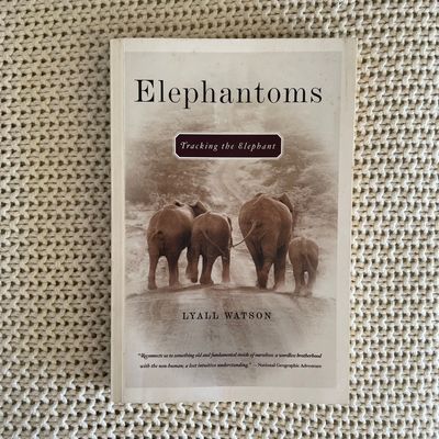 Elephantoms: Tracking the Elephant – Lyall Watson