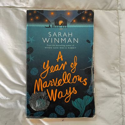 A Year of Marvellous Ways by Sarah Winman