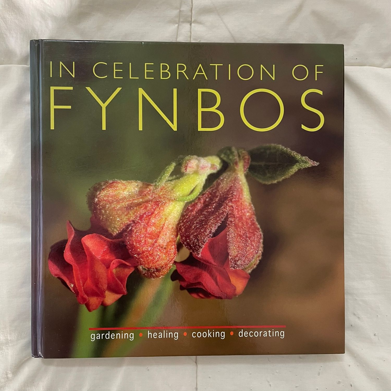 In Celebration of Fynbos (Multiple Contributors)