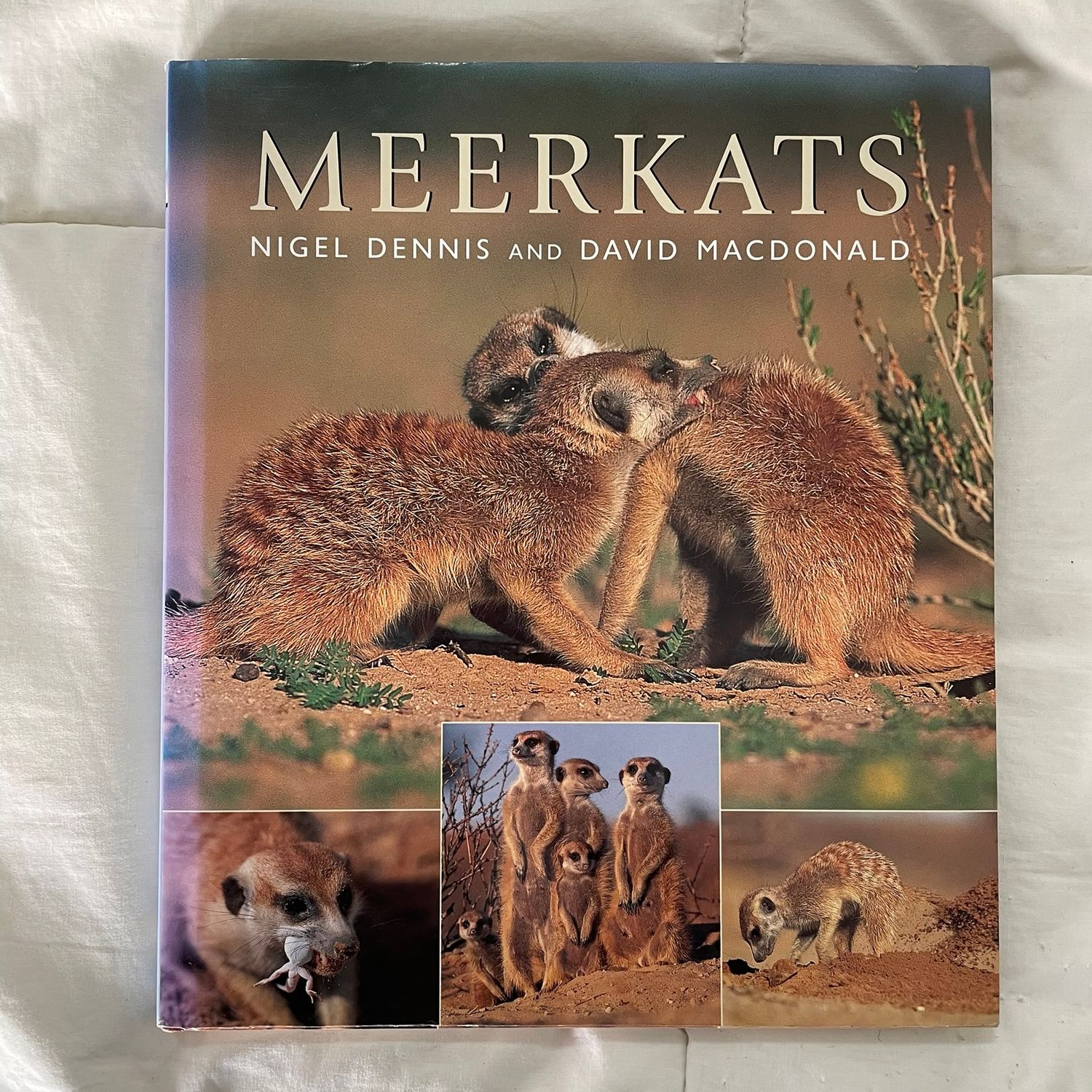 Meerkats by Nigel Dennis and David Macdonald
