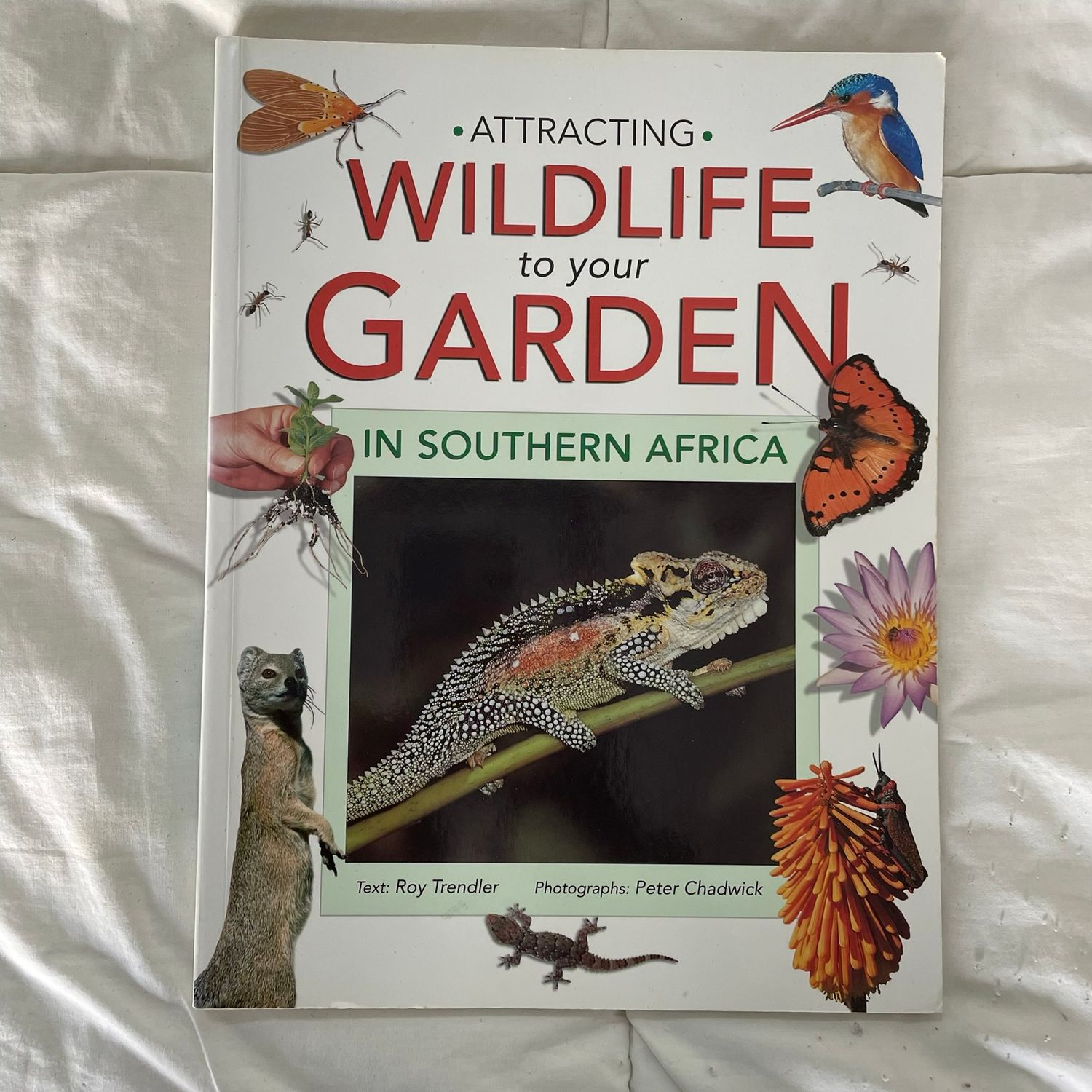 Attracting Wildlife to Your Garden in Southern Africa