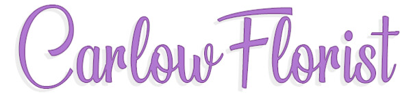 Carlow Florist