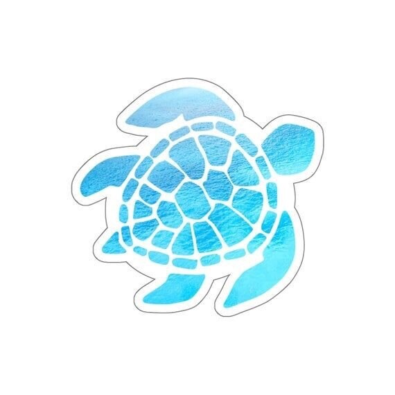 Ocean turtles