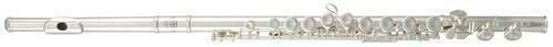 Flauta Transversal Roy Benson FL-602RE
