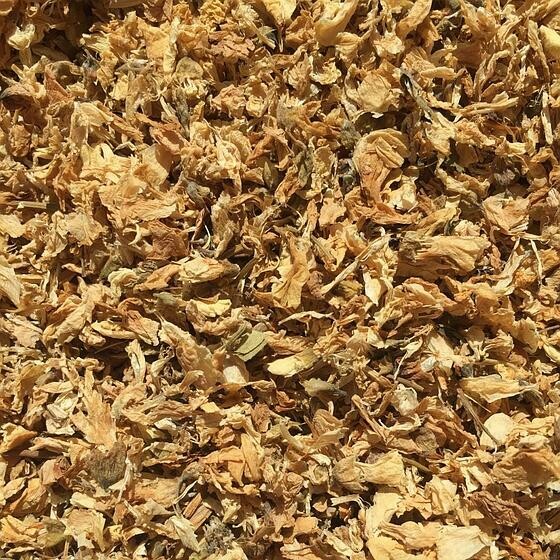 Acacia