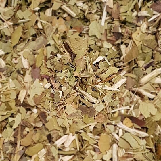 Maté
