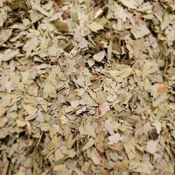 Séné feuille