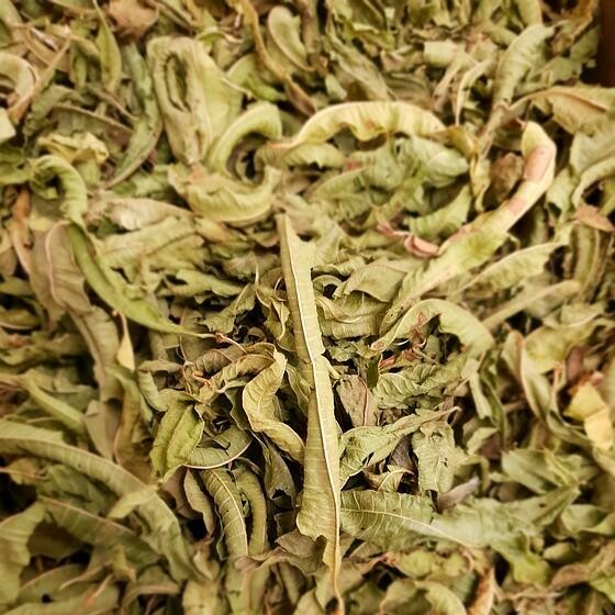 Verveine odorante