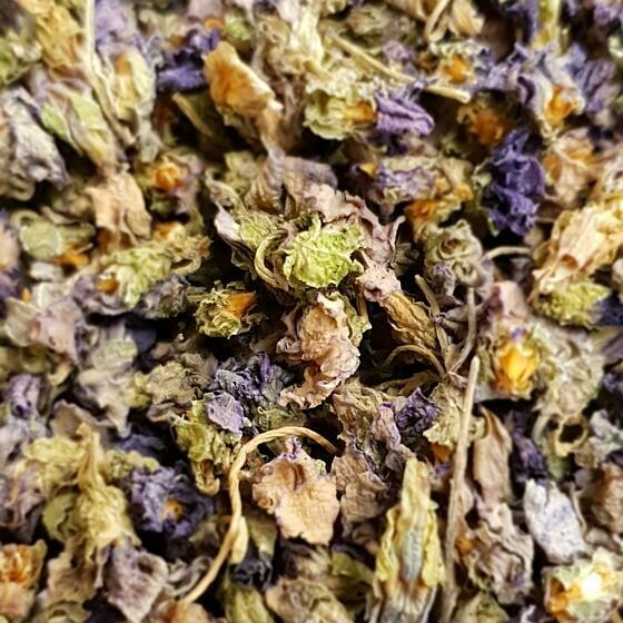 Violette