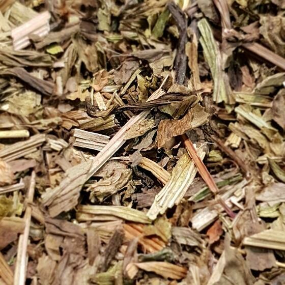 Plantain
